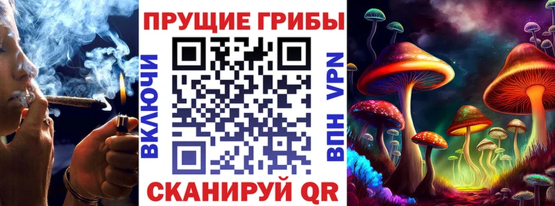 OMG сайт  хочу   Уварово  Галлюциногенные грибы прущие грибы 